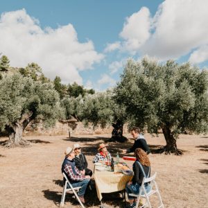 Experiència "Gaudeix de l'Oli entre Oliveres Centenàries"